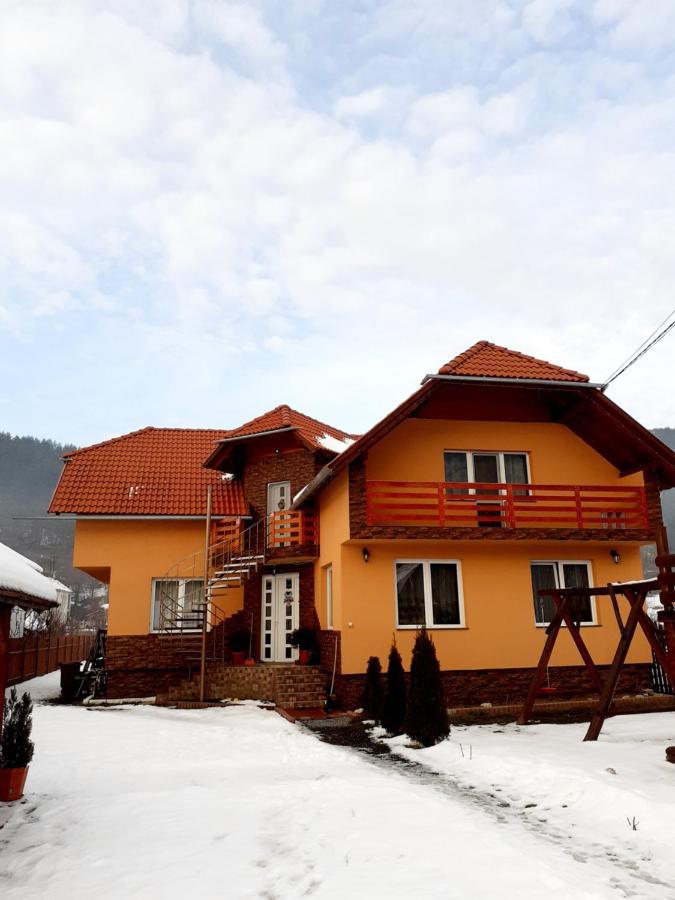 Casa De Oaspeti Cristian Прайд Екстериор снимка