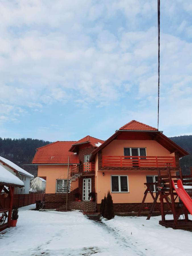 Casa De Oaspeti Cristian Прайд Екстериор снимка