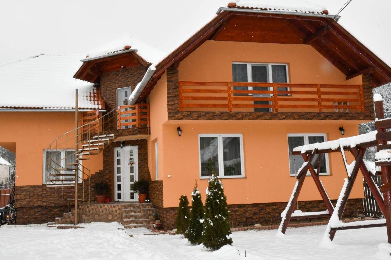 Casa De Oaspeti Cristian Прайд Екстериор снимка