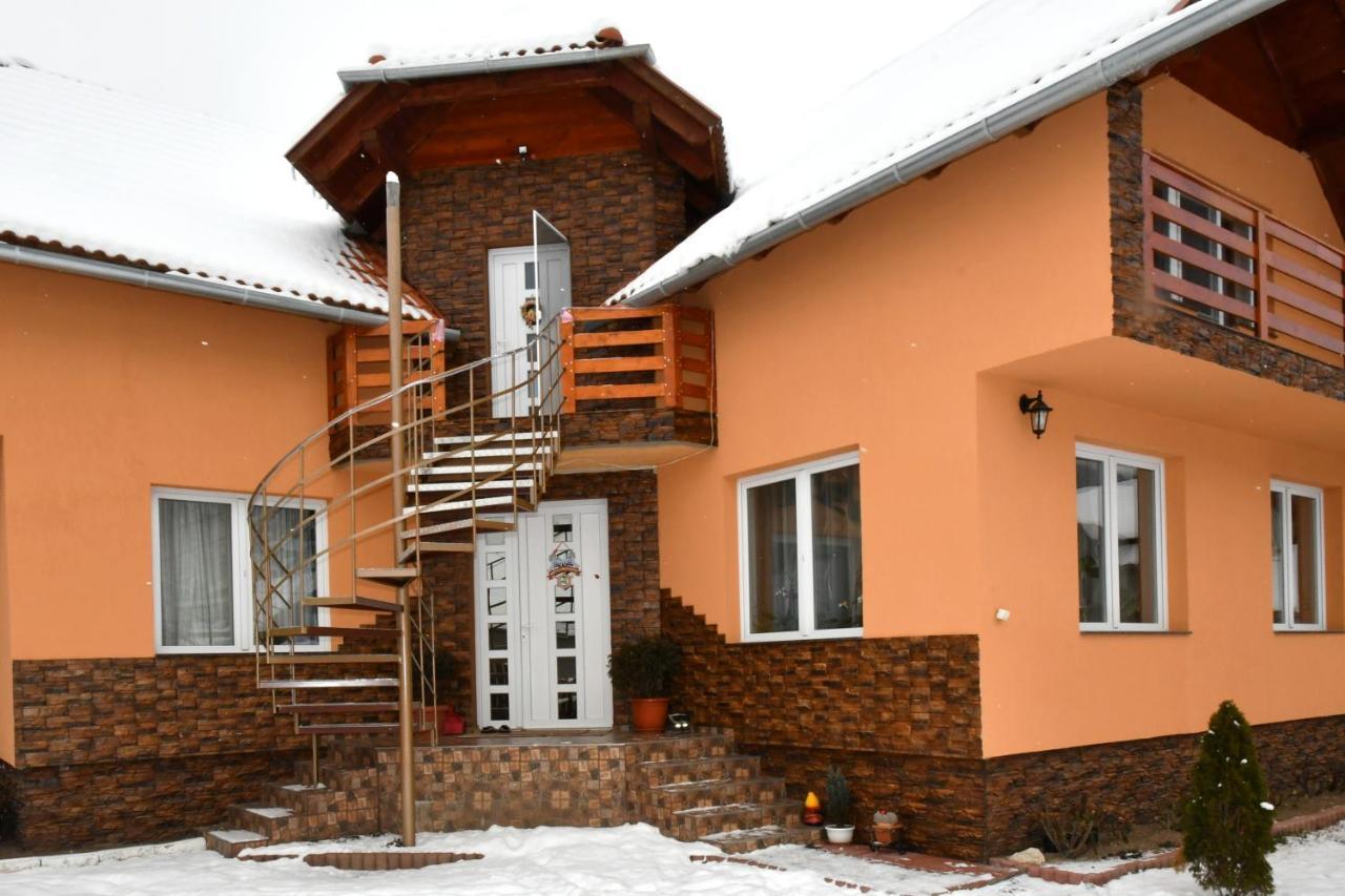 Casa De Oaspeti Cristian Прайд Екстериор снимка