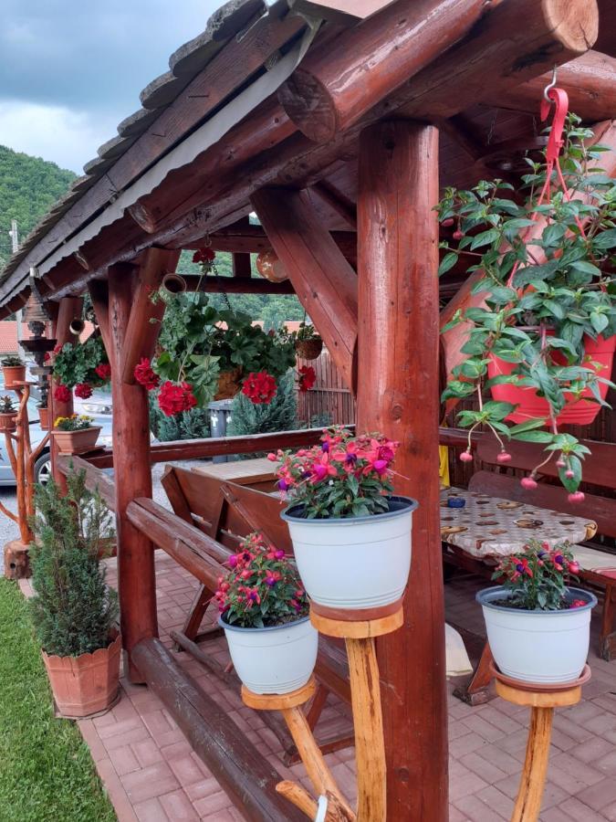 Casa De Oaspeti Cristian Прайд Екстериор снимка