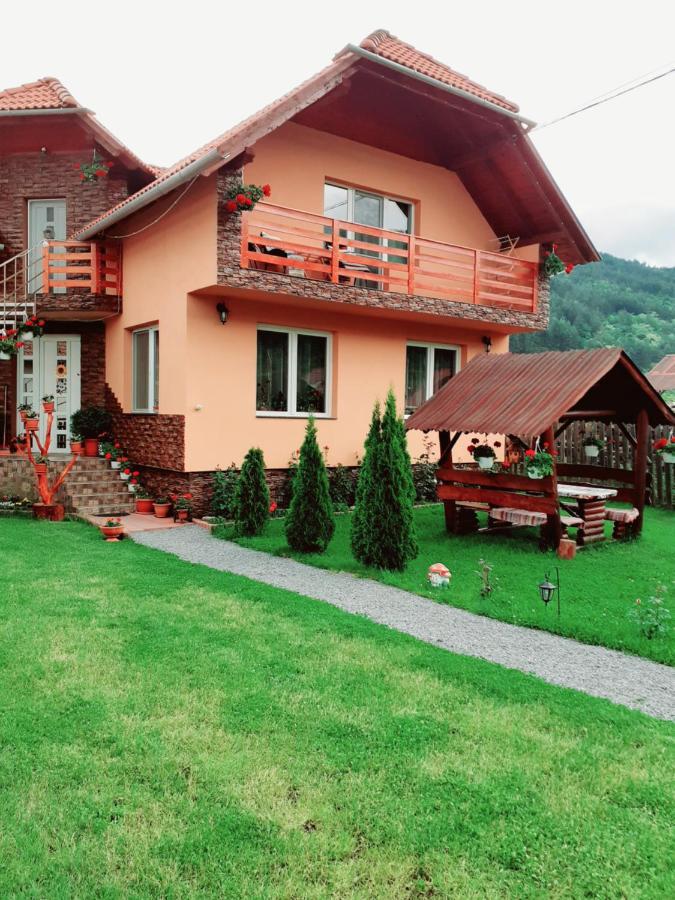 Casa De Oaspeti Cristian Прайд Екстериор снимка