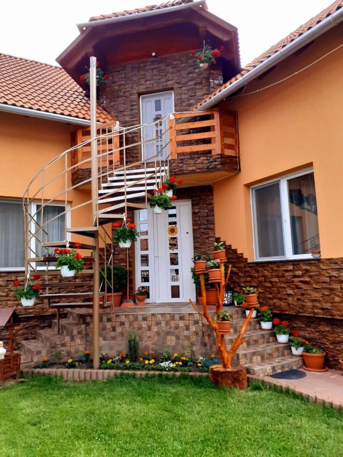 Casa De Oaspeti Cristian Прайд Стая снимка