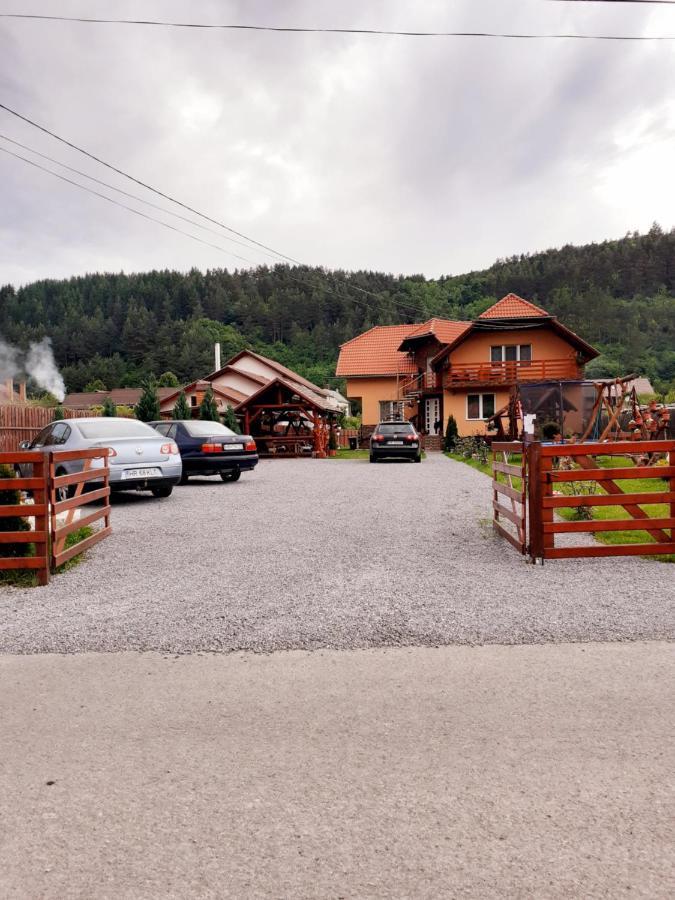 Casa De Oaspeti Cristian Прайд Стая снимка