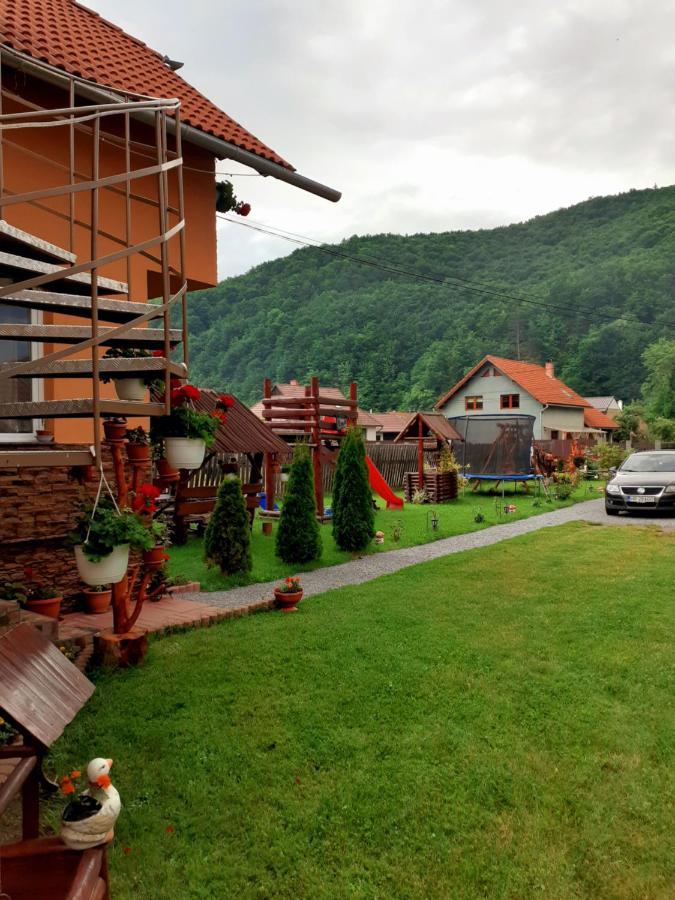 Casa De Oaspeti Cristian Прайд Стая снимка