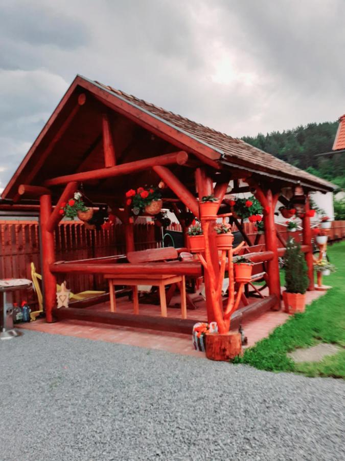 Casa De Oaspeti Cristian Прайд Стая снимка