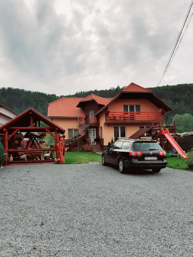 Casa De Oaspeti Cristian Прайд Стая снимка