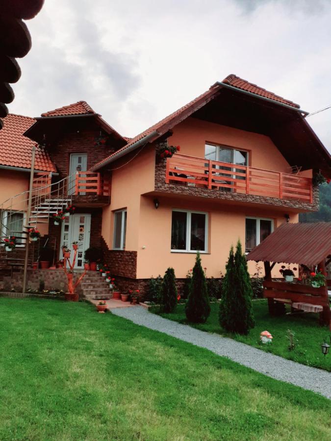 Casa De Oaspeti Cristian Прайд Стая снимка