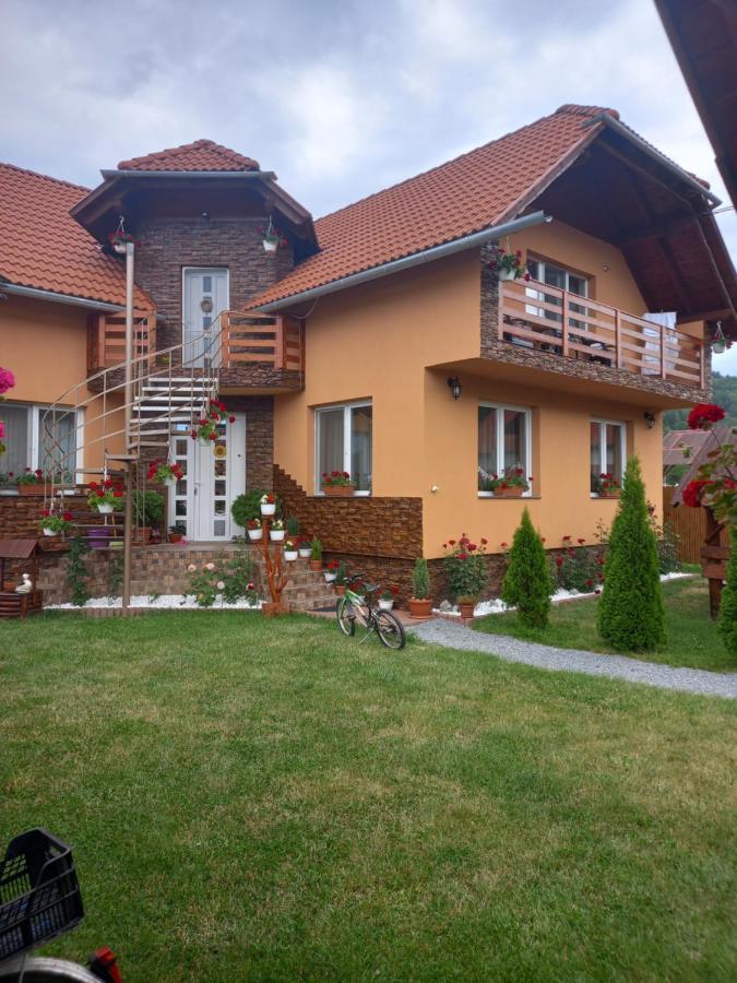 Casa De Oaspeti Cristian Прайд Екстериор снимка