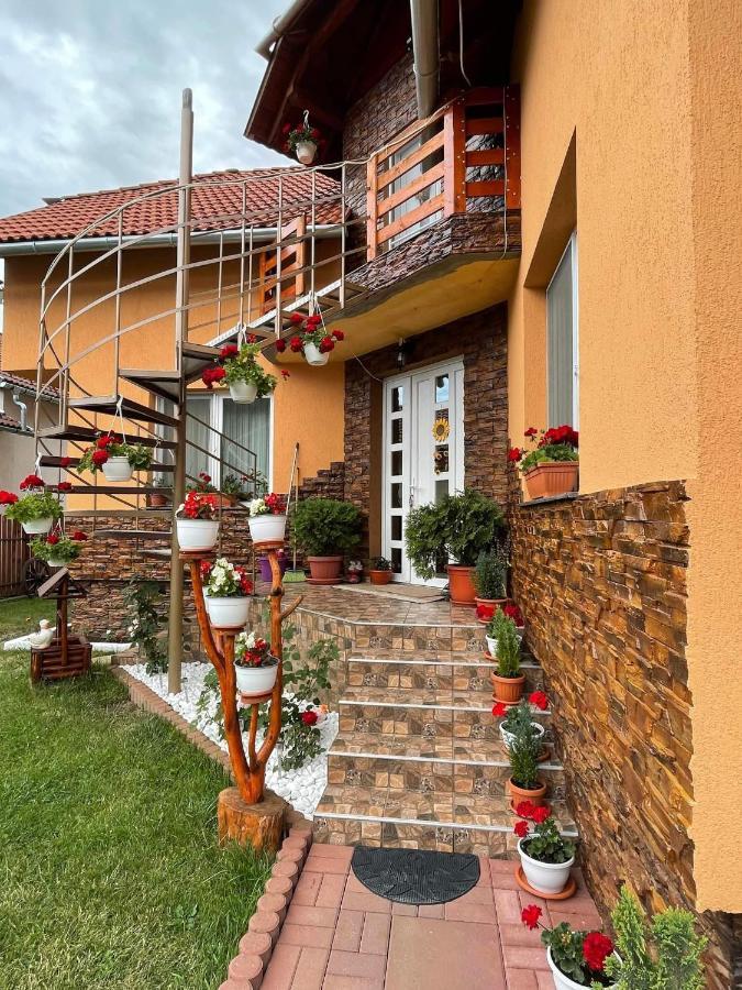 Casa De Oaspeti Cristian Прайд Екстериор снимка