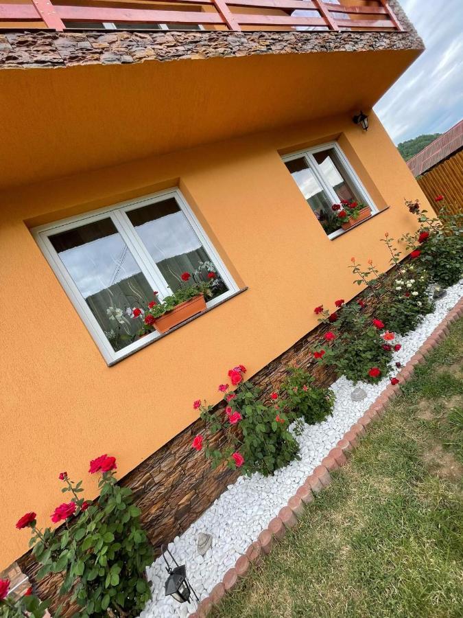 Casa De Oaspeti Cristian Прайд Екстериор снимка